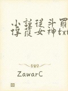 小说从斗罗开始俘获女神txt封面