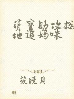 萌宝助攻总裁爹地追妈咪