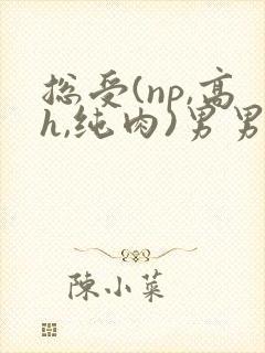总受(np,高h,纯肉)男男文