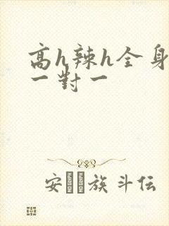 高h辣h全身肉一对一封面
