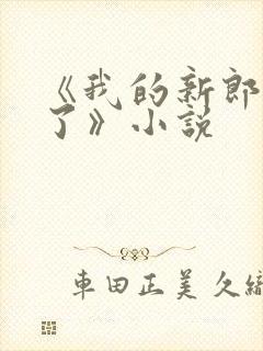 《我的新郎逃婚了》小说