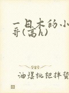 一日木的小说哥哥(高h)