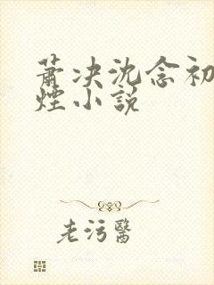 萧决沈念初柳如烟小说