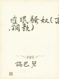 催眠骚奴(高h,调教)