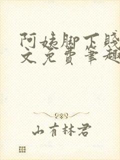 阿姨脚下贱狗全文免费笔趣阁小说