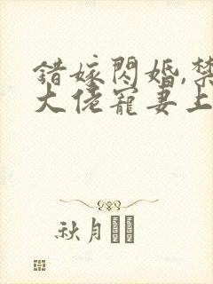 错嫁闪婚,禁欲大佬宠妻上瘾