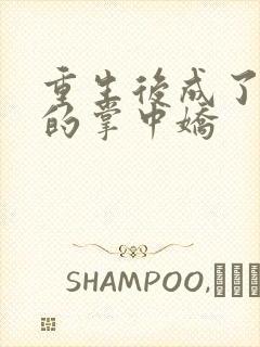 重生后成了权臣的掌中娇