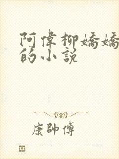 阿伟柳娇娇芳姨的小说
