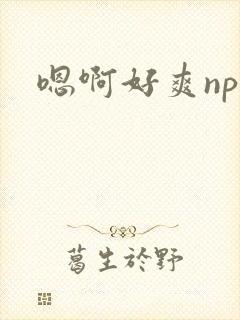 嗯啊好爽np