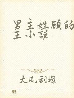 男主姓顾的双男主小说封面