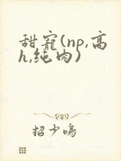 甜宠(np,高h,纯肉)