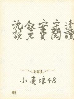 沈叙安宋清雪小说免费阅读最新章节封面