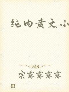 纯肉黄文小说