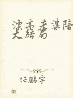 漂亮老婆陪过年大结局