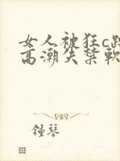 女人被狂c躁到高潮失禁软件封面