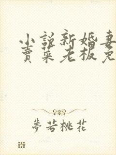 小说新婚妻子和卖菜老板免费阅读