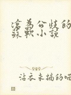 沧为公歧的校花苏软小说