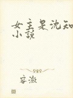 女主是沈知夏的小说