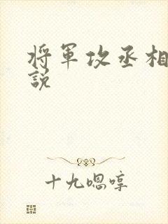 将军攻丞相受小说封面