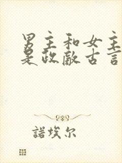 男主和女主父亲是政敌古言