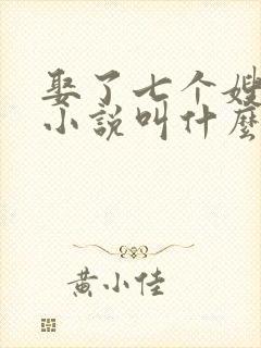 娶了七个嫂子的小说叫什么封面