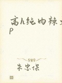 高h纯肉辣文np
