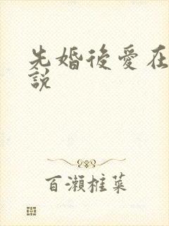 先婚后爱在线小说封面