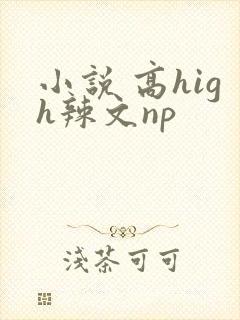 小说 高high辣文np
