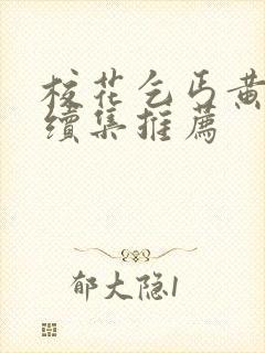 校花乞丐黄婉儿续集推荐封面