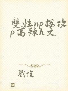 双性np总攻np高辣h文