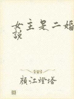 女主是二婚的小说