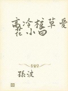 高冷校草爱上我 花小白封面