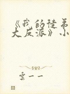 《我的徒弟都是大反派》小说