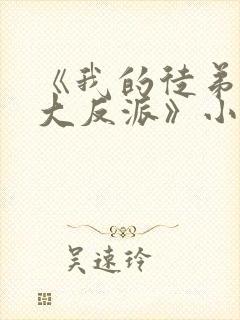 《我的徒弟都是大反派》小说