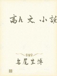 高h 文 小说