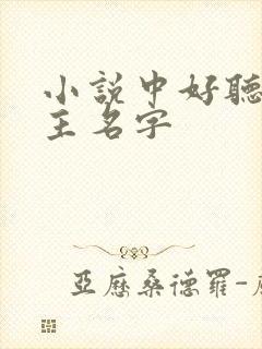 小说中好听的女主名字