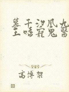 慕千汐凰九夜邪王嗜宠鬼医狂妃无弹窗