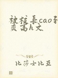 被校长cao到爽高h文