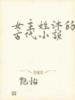 女主姓沐的重生古代小说