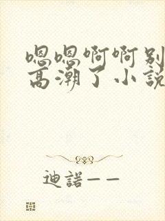 嗯嗯啊啊别干了高潮了小说封面