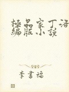 极品家丁洛凝改编版小说