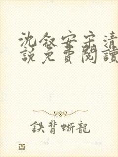 沈叙安宋清雪小说免费阅读最新章节封面