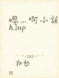 嗯…啊小说[高h]np