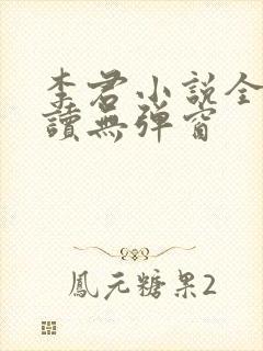 李君小说全文阅读无弹窗