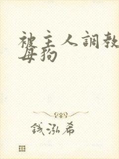 被主人调教成骚母狗