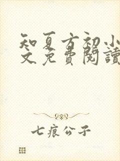 知夏方初小说全文免费阅读最新章节