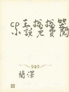 cp王总总哭透小说免费阅读