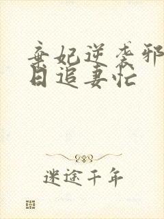 弃妃逆袭邪王日日追妻忙