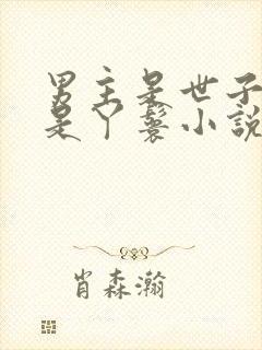 男主是世子女主是丫鬟小说