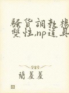 骚货调教杨洛(双性,np道具